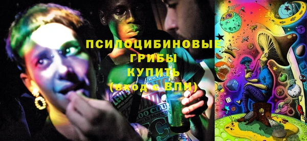 твердый Семёнов